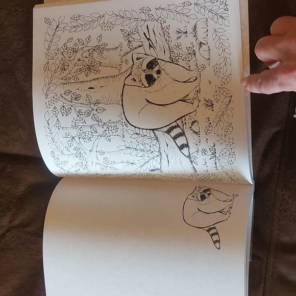 Maguc Path coloring Keepsake book - NWT - Picture 3 of 4